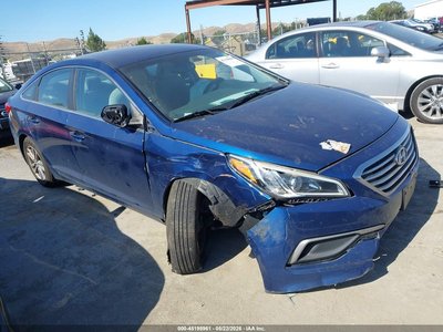 5NPE24AF1GH****** 2016 Hyundai Sonata