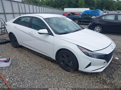 5NPLM4AG8PH****** 2023 Hyundai Elantra