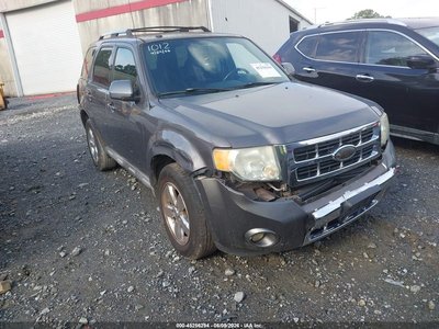 2010 Ford Escape