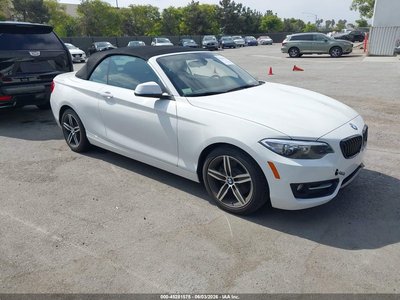 WBA2K9C32H7****** 2017 BMW 2 Series