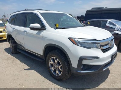 5FNYF6H00MB****** 2021 Honda Pilot
