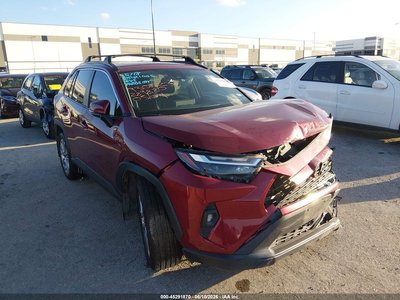 2T3C1RFV8PW****** 2023 Toyota RAV4