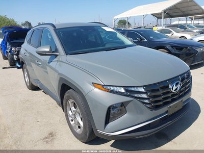5NMJB3DE9RH****** 2024 Hyundai Tucson
