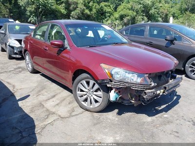 2011 Honda Accord