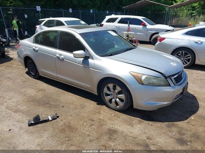 2010 Honda Accord