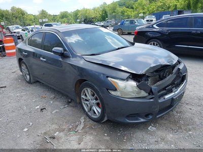 1N4AA5AP6AC****** 2010 Nissan Maxima