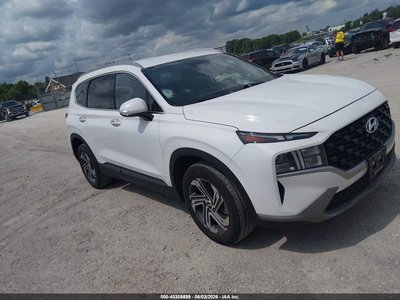 5NMS24AJ9PH****** 2023 Hyundai Santa Fe