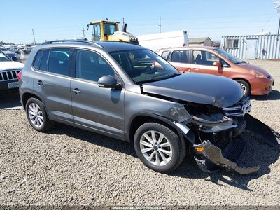 WVGBV7AX3FW****** 2015 Volkswagen Tiguan