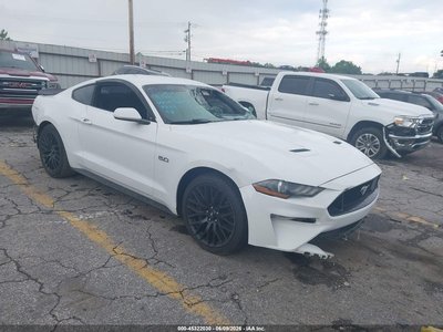 1FA6P8CF7K5****** 2019 Ford Mustang