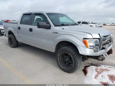 2009 Ford F-150