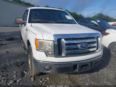 2010 Ford F-150