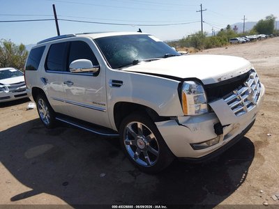 1GYS3BEF8DR****** 2013 Cadillac Escalade