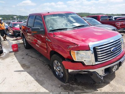 1FTFW1EV9AK****** 2010 Ford F-150