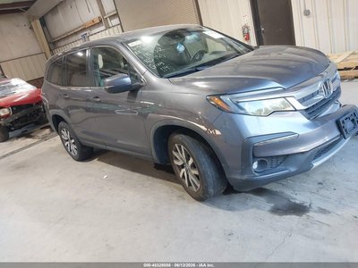 5FNYF6H51MB****** 2021 Honda Pilot