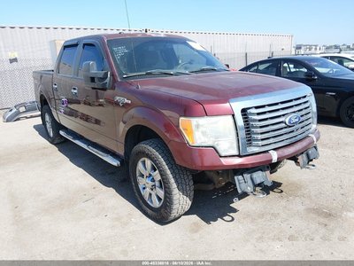 1FTFW1EVXAK****** 2010 Ford F-150