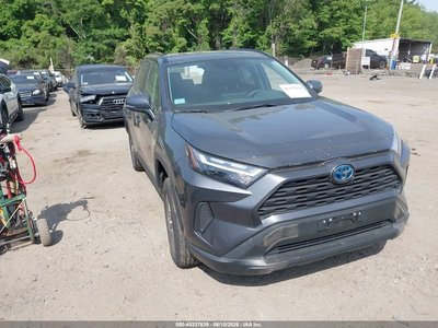 2T3RWRFV7RW****** 2024 Toyota RAV4 Hybrid