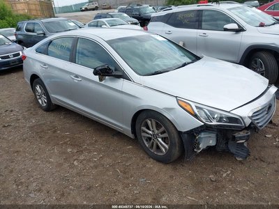 5NPE24AF2GH****** 2016 Hyundai Sonata