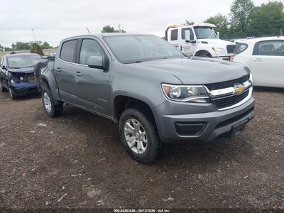 1GCGTCEN6K1****** 2019 Chevrolet Colorado