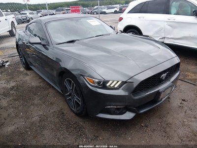 1FA6P8TH7H5****** 2017 Ford Mustang