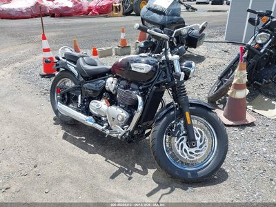 2024 Triumph Bonneville