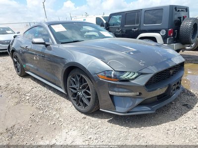 1FA6P8TH3K5****** 2019 Ford Mustang