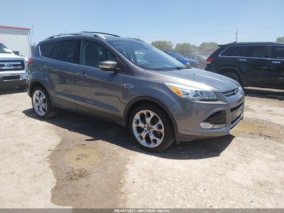 1FMCU0J92DU****** 2013 Ford Escape