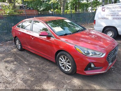 5NPE24AF7JH****** 2018 Hyundai Sonata