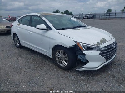 5NPD84LF0KH****** 2019 Hyundai Elantra