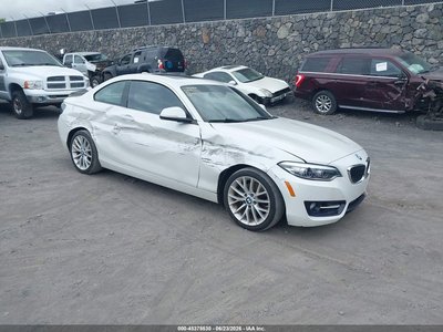 WBA1F9C53GV****** 2016 BMW 2 Series