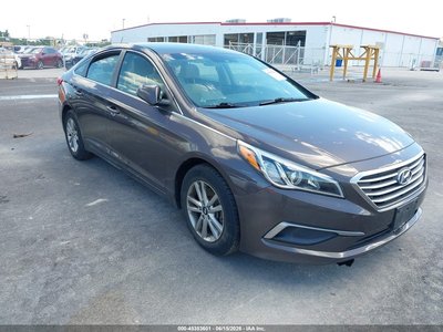 5NPE24AF9GH****** 2016 Hyundai Sonata