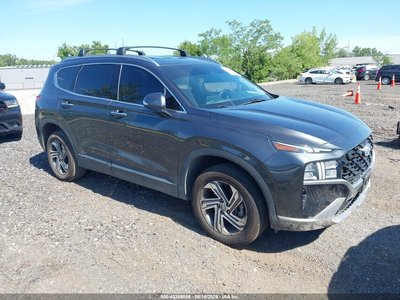 5NMS2DAJ3PH****** 2023 Hyundai Santa Fe