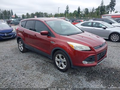 1FMCU0GX7EU****** 2014 Ford Escape