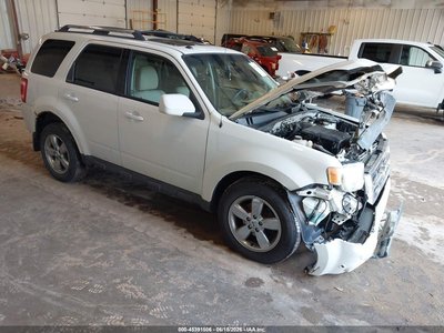 1FMCU9EG7AK****** 2010 Ford Escape
