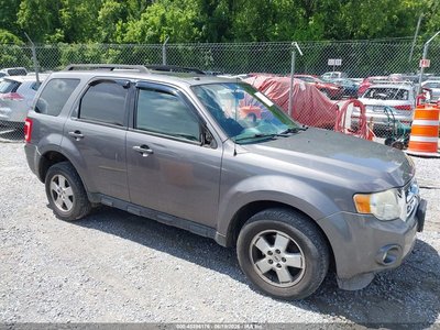 1FMCU9DG6AK****** 2010 Ford Escape