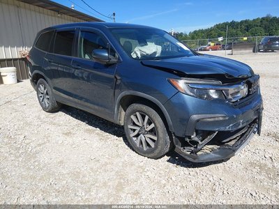 5FNYF6H35KB****** 2019 Honda Pilot