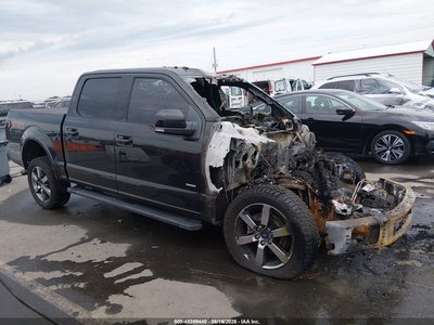 1FTEW1EG1FF****** 2015 Ford F-150