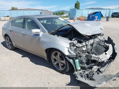 19UUA96589A****** 2009 Acura TL
