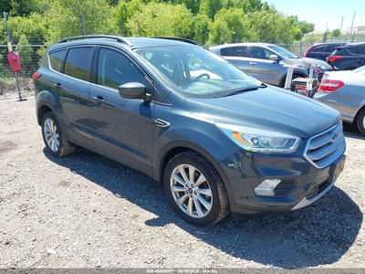 1FMCU0HD3KU****** 2019 Ford Escape