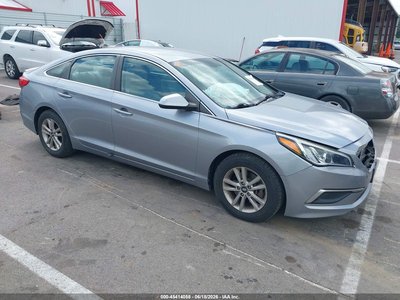 5NPE24AF0GH****** 2016 Hyundai Sonata
