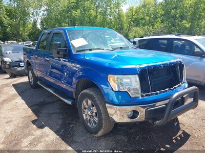 1FTEW1E86AF****** 2010 Ford F-150