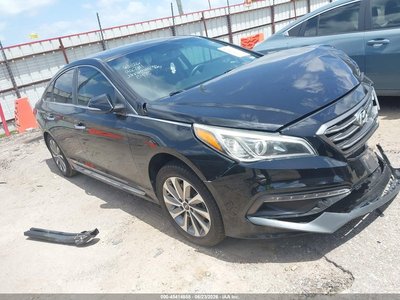 5NPE34AF5GH****** 2016 Hyundai Sonata