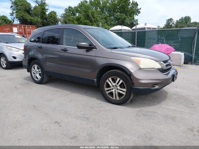 2010 Honda CR-V