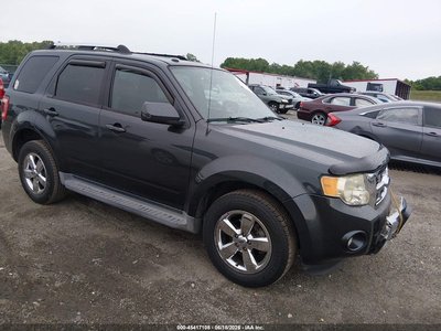 2009 Ford Escape