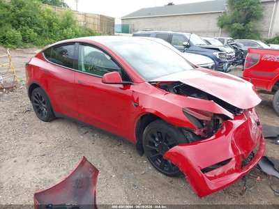 7SAYGDEE3PF****** 2023 Tesla Model Y