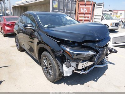 2026 Lexus NX