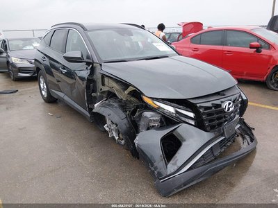 5NMJB3DE5RH****** 2024 Hyundai Tucson
