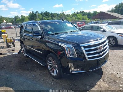 1GYS4CKJ1KR****** 2019 Cadillac Escalade