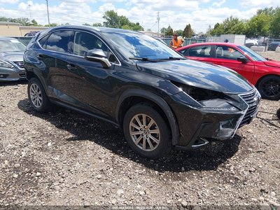 JTJDARDZ2M2****** 2021 Lexus NX