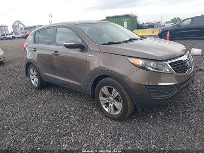 KNDPBCA27D7****** 2013 Kia Sportage