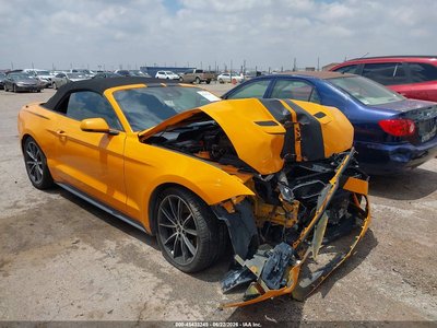 1FATP8UH7K5****** 2019 Ford Mustang